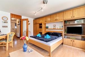 a bedroom with a bed with a large entertainment center at Studti 134 in Beuren