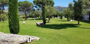 een park met rotsen en bomen en wat gras bij Résidence Salina Bay in Porto-Vecchio