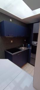 a kitchen with blue cabinets and a sink at Résidence Bel'Air in Aire-sur-la-Lys