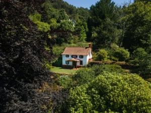 une petite maison au milieu d'une forêt dans l'établissement Valle Paraizo, à Camacha