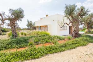 a white house with trees in front of it at Luxury sea villa with pool near SM di Leuca in Castrignano del Capo
