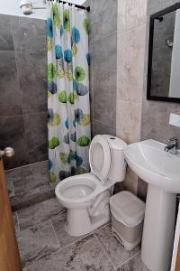 łazienka z toaletą, umywalką i zasłoną prysznicową w obiekcie HOSPEDAJE VILLA SAMARA w mieście Guatapé