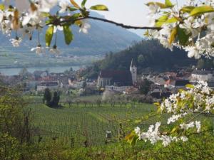 a town in a field with white flowers at Jutta´s Ferientraum in Kottes