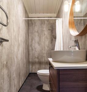 a bathroom with a sink and a toilet at Cozy cottage in Vemdalen close to the ski slopes in Vemdalen