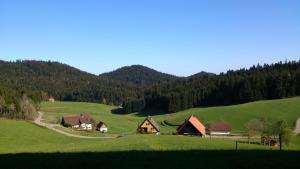 una colina verde con casas en medio de un campo en Wallemehof, en Wolfach
