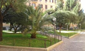 een palmboom in een park naast een hek bij Il Viandante al Pigneto - CIR 26927 - Parcheggio privato gratuito in Rome