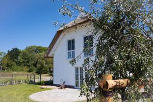 a white house with a tree in front of it at Familienurlaub im Hus in de Sünn in Puddemin