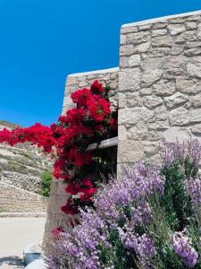 a bunch of red flowers in a stone wall at Milo Milo Suites in Mandrakia
