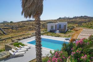 a palm tree in front of a house with a swimming pool at Vesper Jewel Luxury Villas in Mykonos in Tourlos