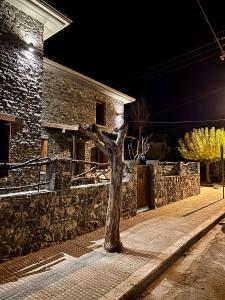 Φωτογραφία από το άλμπουμ του Black Rock Agria στην Αγριά