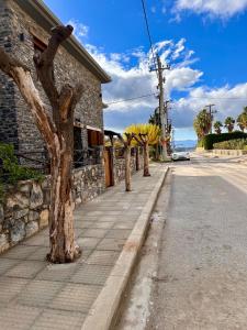 Φωτογραφία από το άλμπουμ του Black Rock Agria στην Αγριά