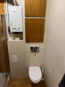 mała łazienka z toaletą i drewnianą szafką w obiekcie Apartament Chopina 25 w mieście Lublin