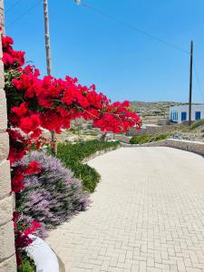 a bunch of red flowers on a brick road at Milo Milo Suites in Mandrakia