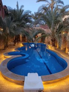 - une piscine dans un complexe avec des palmiers dans l'établissement Panta Lodge Siwa بنتا لودج سيوة, à Siwa