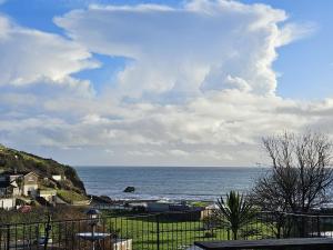 盧港的住宿－Pet Friendly Sea view Villa Millendreath Looe，阴天的海洋景