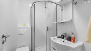 达伊拉Apartments Vorfi的带淋浴和水槽的白色浴室