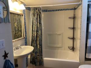 ein Badezimmer mit einem Waschbecken, einer Badewanne und einer Dusche in der Unterkunft The Air Capitol Cottage in Leadville