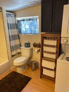 a small bathroom with a toilet and a shower at The Air Capitol Cottage in Leadville