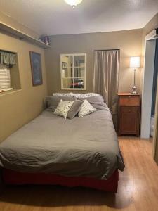 ein Schlafzimmer mit einem Bett mit zwei Kissen darauf in der Unterkunft The Air Capitol Cottage in Leadville