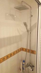 y baño con ducha y puerta de cristal. en Apartamenticos Boggiero I, en Zaragoza