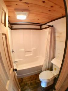 a bathroom with a toilet and a bath tub at Tiny Home Cottage Near the Smokies #6 Greta in Sevierville