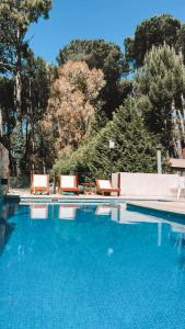 Πισίνα στο ή κοντά στο Complejo Agapanto
