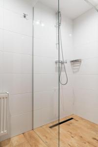 een douche met een glazen deur in een kamer bij APARTAMENT PRZY RYNKU II in Chełmno