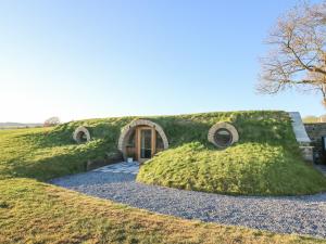 a house with a grassy hill with a door at Tan y Wawr- Onnen in Welshpool