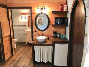 a bathroom with a sink and a mirror at Tiny Home Cottage Near the Smokies #7 Tilly in Sevierville