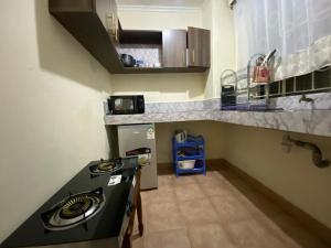 a small kitchen with a stove and a counter top at Lakeside apartment in Kisumu
