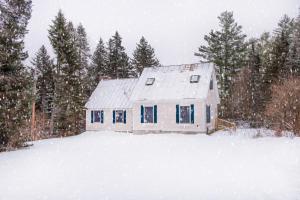 The Whimsical Chalet v zimě