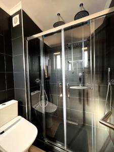 a bathroom with a shower and a toilet and a sink at Penthouse Terraço de Coimbra in Coimbra +7 photos