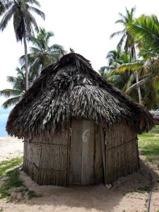 eine Hütte mit Strohdach am Strand in der Unterkunft Cabañas tradicionales en isla Aroma in Warsobtugua