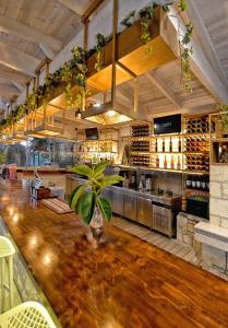 a bar with a plant in the middle of a room at Georgia's Garden by Omilos Hotels in Amoudara Herakliou