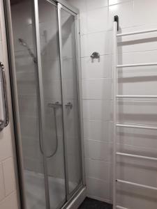 um chuveiro com uma porta de vidro na casa de banho em Gîte La Rose Jacuzzi Nordique em La Petite-Pierre