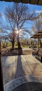 Un árbol en un parque con el sol detrás. en Uspallata Suites en Uspallata