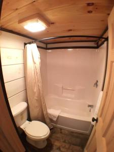 a bathroom with a toilet and a shower and a tub at Tiny Home Cottage Near the Smokies #9 Frieda in Sevierville