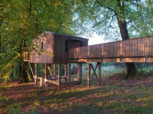 una casa en un árbol de madera con un columpio en un campo en L'étape en forêt en Saint-Sever-Calvados