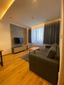 a living room with a couch and a flat screen tv at Apart hotel Zlatni Javor - Trio in Jahorina