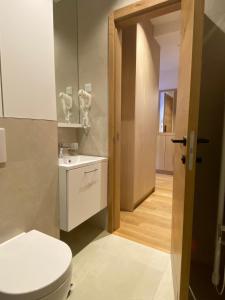 a bathroom with a white toilet and a sink at Apart hotel Zlatni Javor - Trio in Jahorina