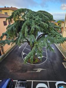 un árbol en medio de un estacionamiento en Casa Marna: comodità e praticità con vista Duomo en Massa Marittima