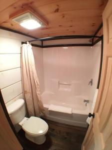 a bathroom with a toilet and a bath tub at Tiny Home Cottage Near the Smokies #10 Helena in Sevierville