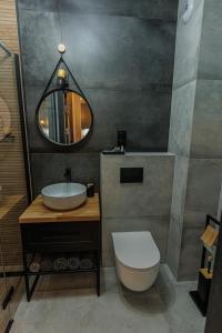 een badkamer met een wastafel, een toilet en een spiegel bij Apartamenty DeLux Centrum Kielce in Kielce