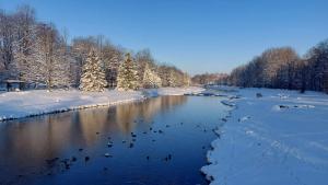 a group of ducks swimming in a river in the snow at Spokojny zakątek in Ustroń +18 photos