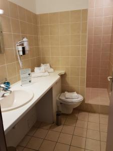 y baño con lavabo y aseo. en Auberge Communale de la Fruitière, en Péron