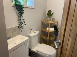 a bathroom with a white toilet and a sink at Dumfries House By MGroupSA in Treherbert