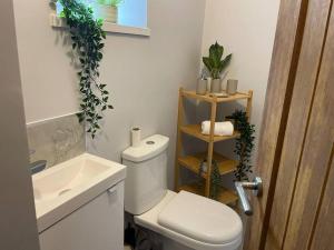 La salle de bains est pourvue de toilettes blanches et d'un lavabo. dans l'établissement Dumfries House By MGroupSA, à Treherbert