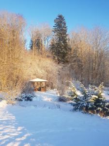 un cenador en un campo cubierto de nieve con árboles en Čapuliši, en Kandava