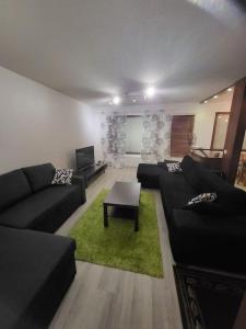 una sala de estar con sofás negros y una alfombra verde en Two bedroom apartment right next to Santapark en Rovaniemi
