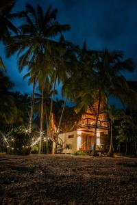 ein Haus am Strand mit Palmen in der Nacht in der Unterkunft Gaelia in Santa Marta